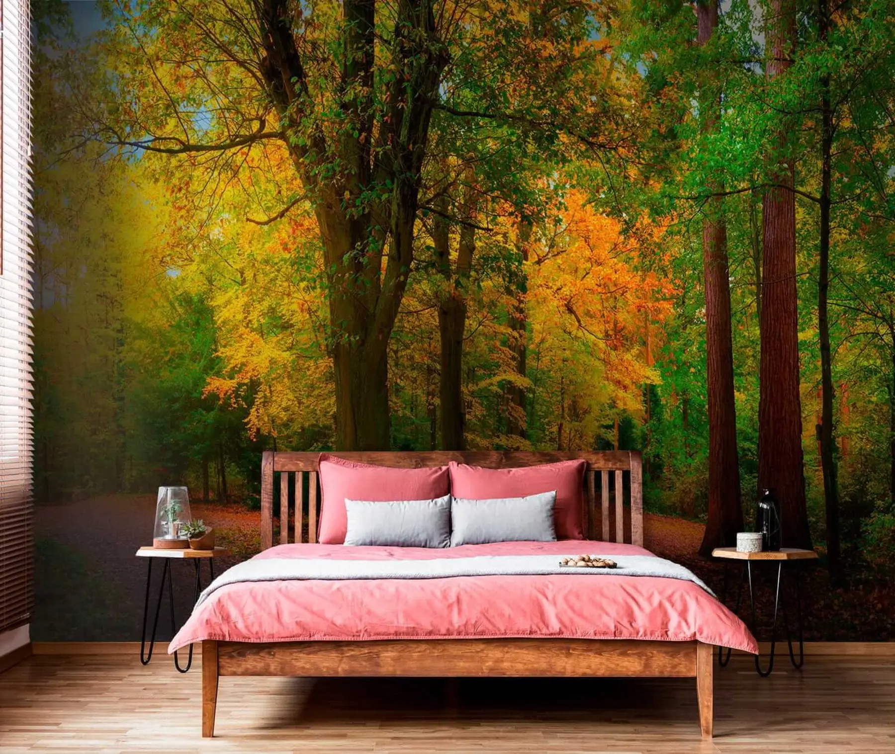 fototapet Începutul toamnei u08547