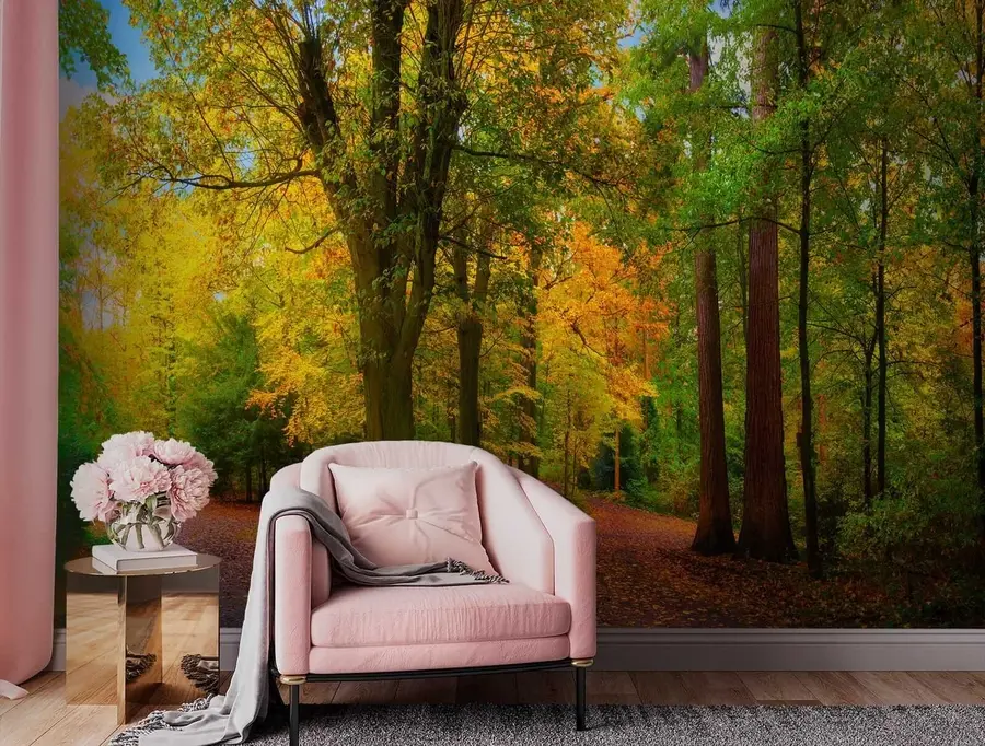 fototapet Începutul toamnei u08547