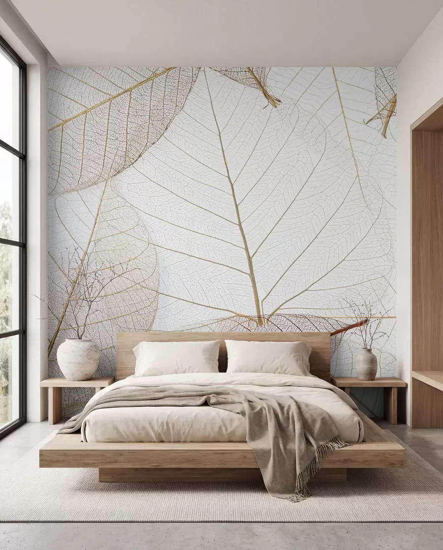 fototapet Frunze transparente u24439