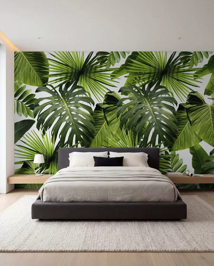 fototapet Verde tropical în lumina zilei u37767