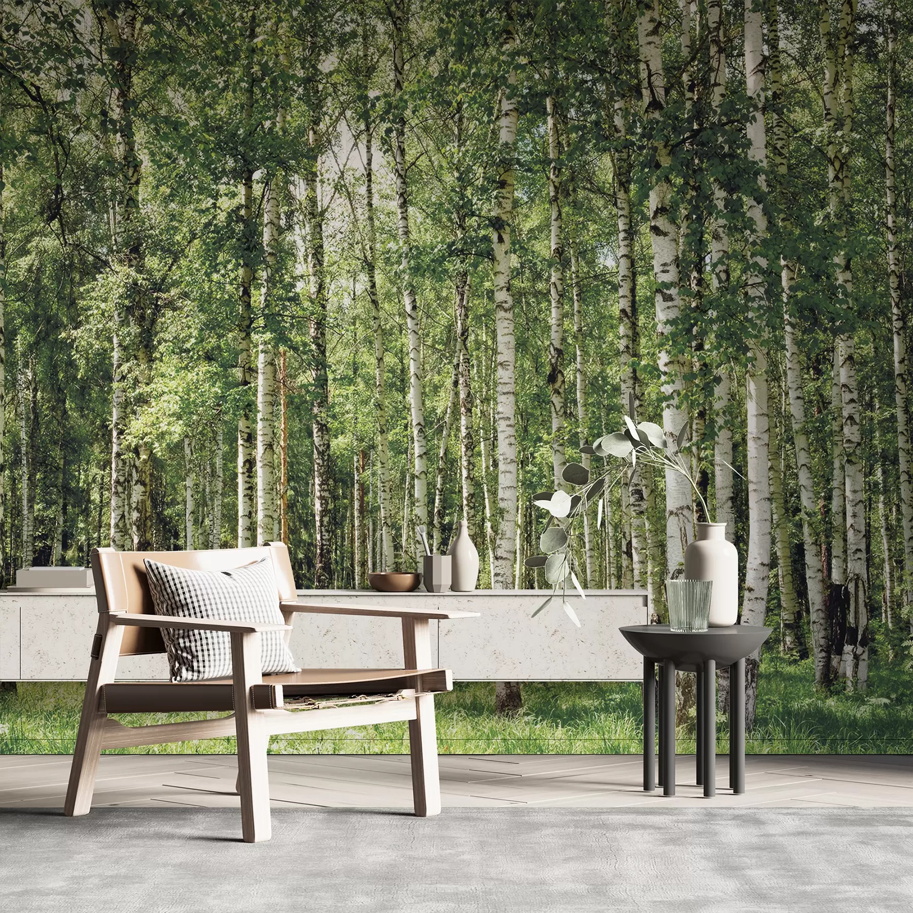 fototapet Pădure de mesteacăn u52530