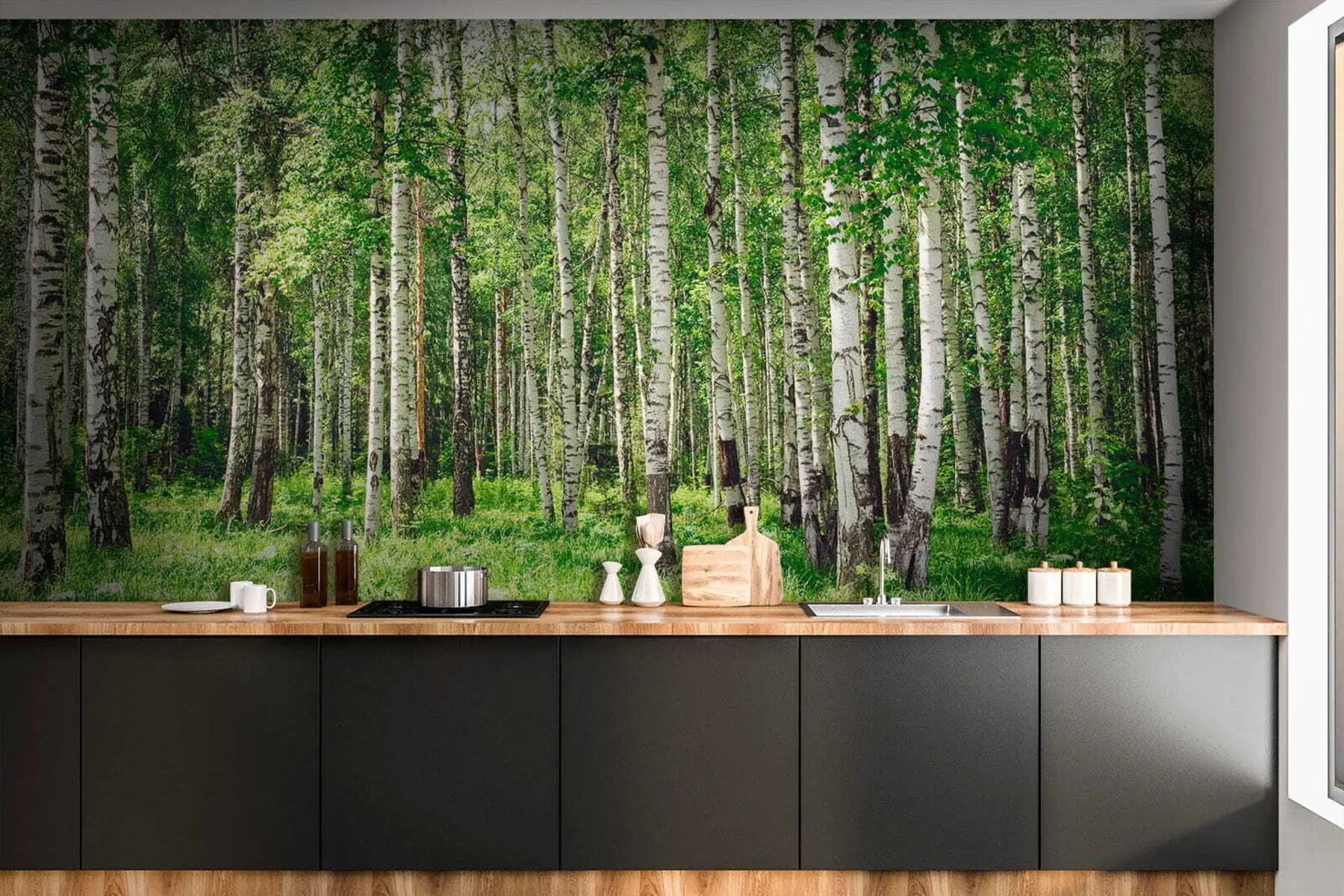 fototapet Pădure de mesteacăn u52530