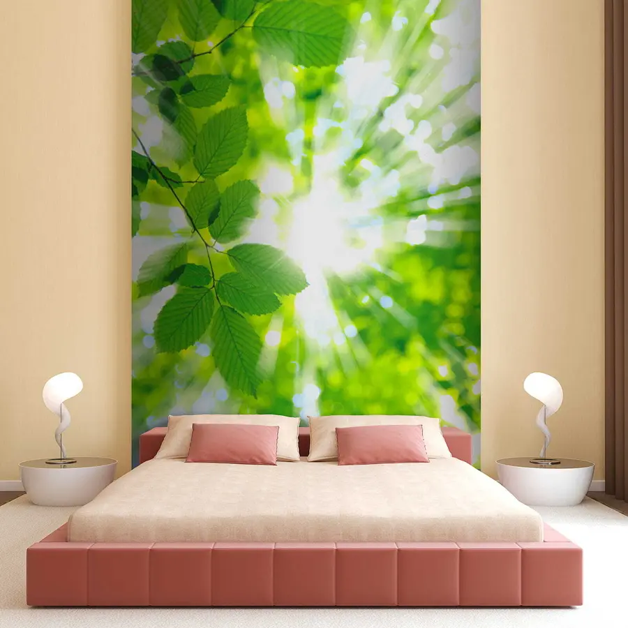 fototapet Plante, botanică și lumina soarelui u54862