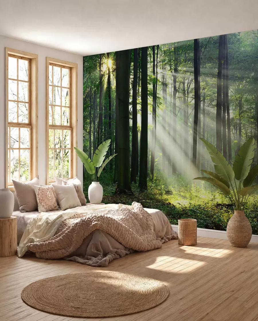fototapet Soare printre copaci u56787