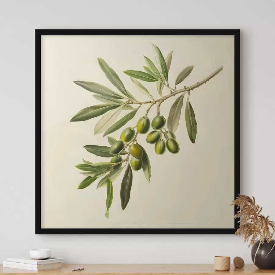 fototapet Ramură de măslin f38411