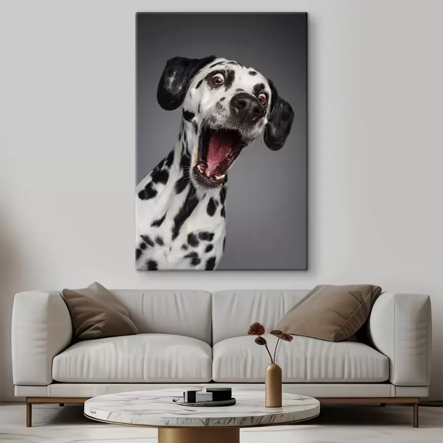 fototapet Cățel excitat gata de distracție! s37752