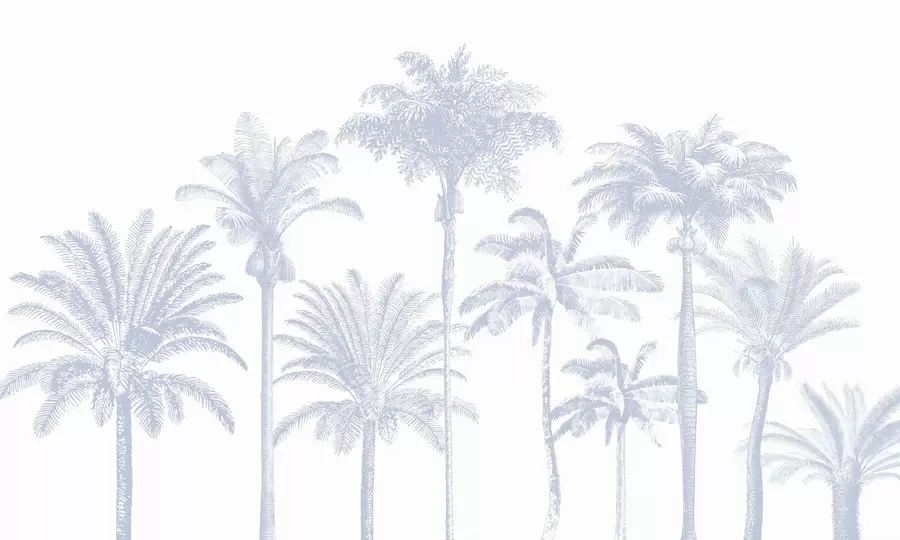 fototapet Palmieri tropicali oază minimă de culoare albastră w08111v4
