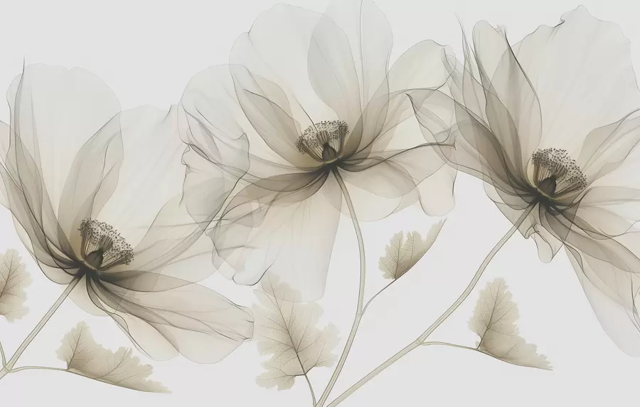 fototapet Floare maro transparentă în stil cu raze X pe fundal alb Design botanic monocrom minimalist w01482v2