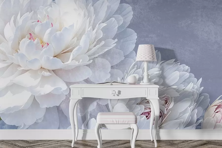 fototapet Flori de bujor albe detaliate, cu petale moi, delicate, pe un fundal texturat albastru pastel deschis w08379
