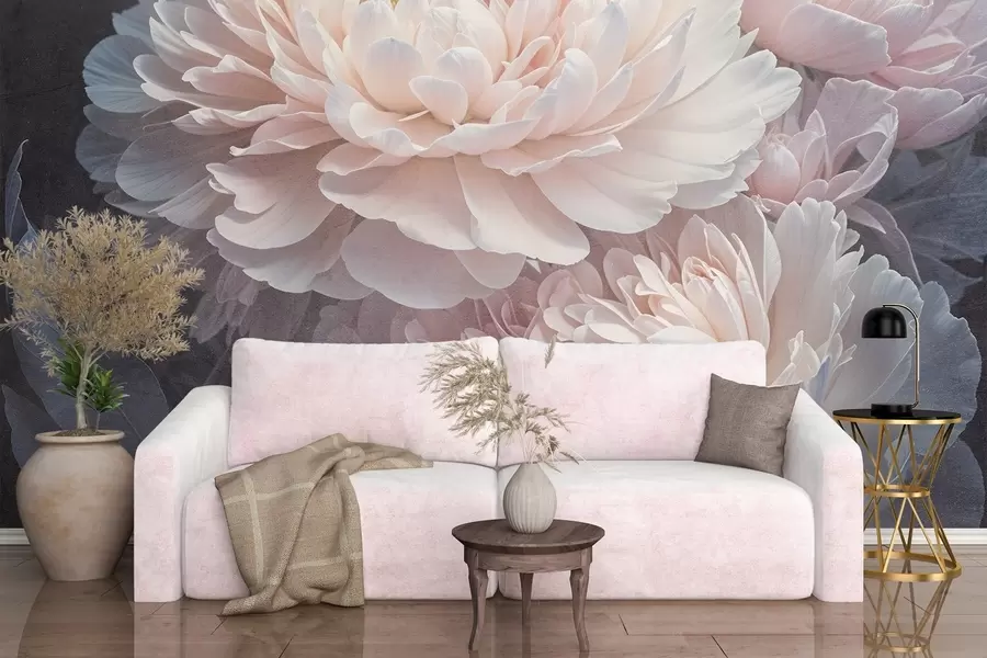 fototapet Un prim-plan a două bujori roz mari, delicate, cu petale și frunze moi, pufoase, pe un fundal neclar w08382