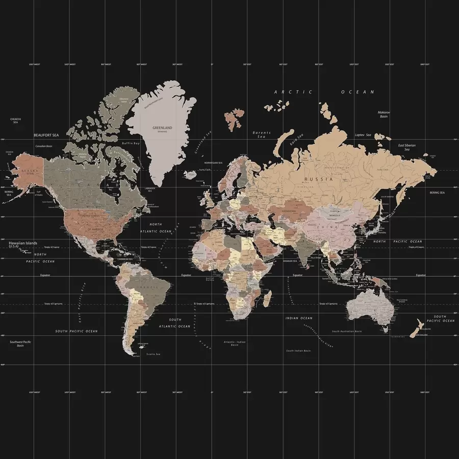 fototapet Harta lumii cu diverse țări conturate u99477d1