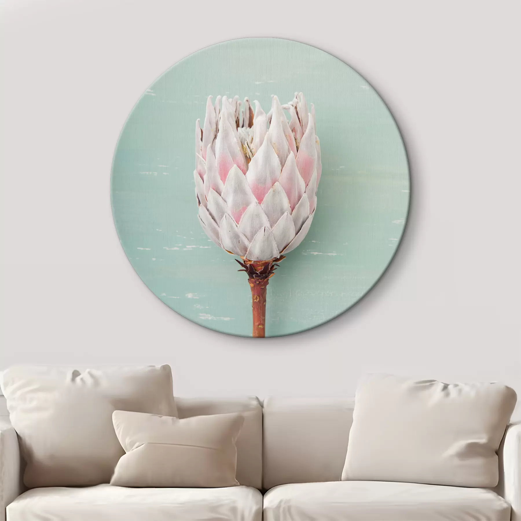 Tablouri Protea albă r36695