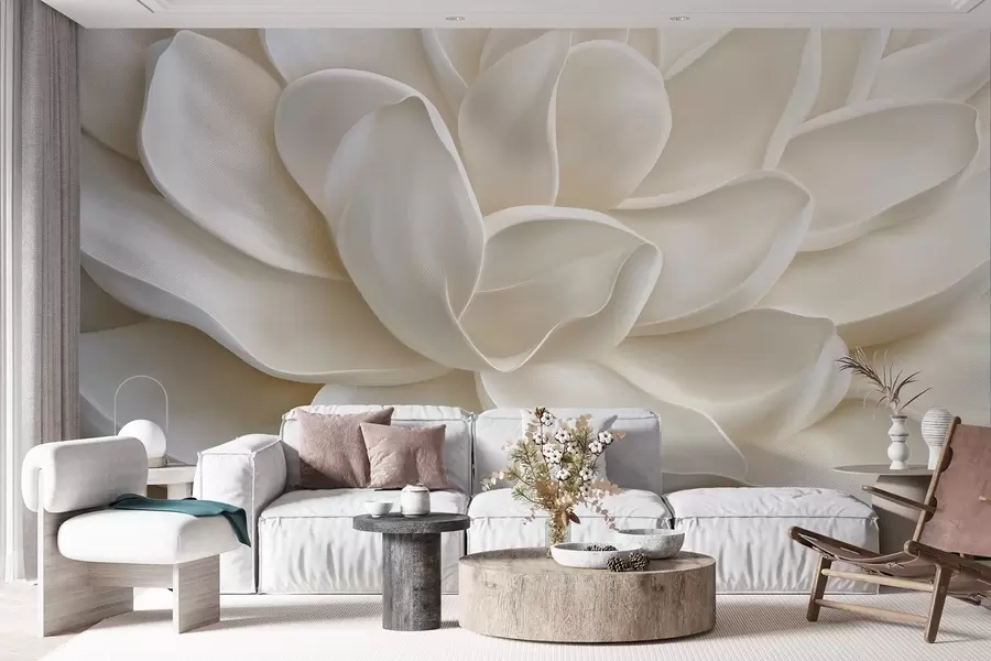 fototapet O floare suculentă ușoară în prim-plan w08563