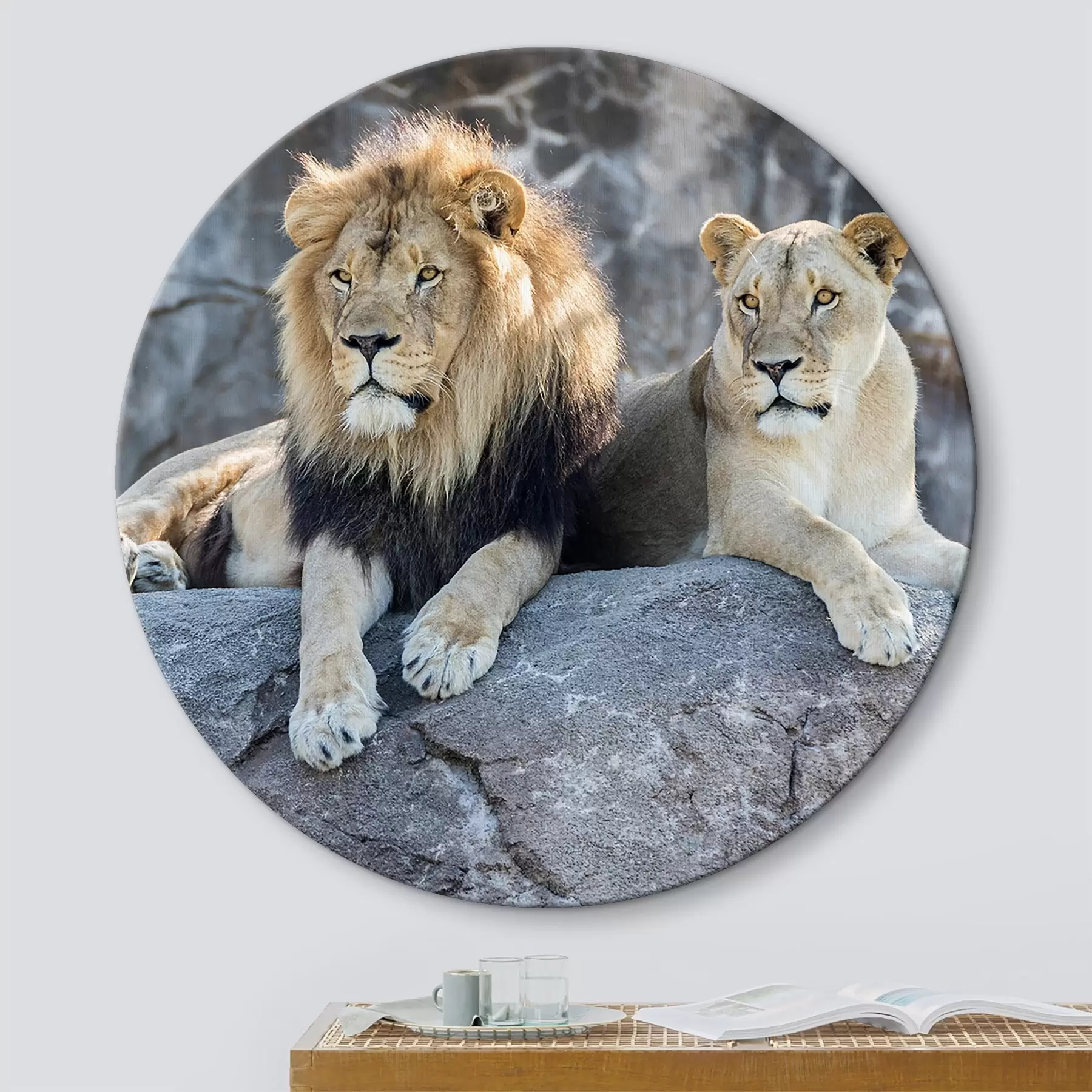 Tablouri Leu, pisică și carnivor r15278