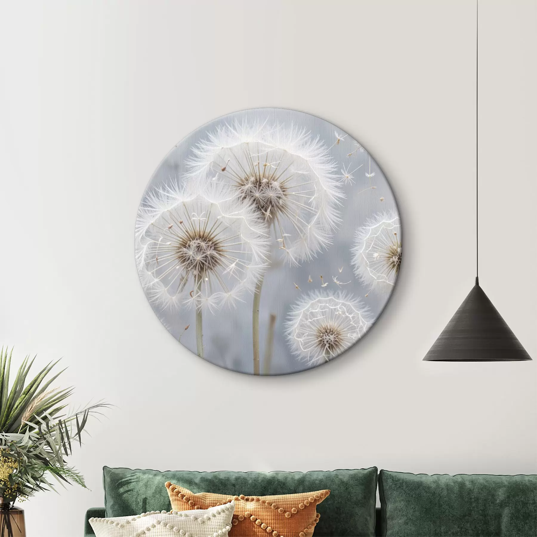 Tablouri Flori albe de păpădie cu semințe pufoase pe un fundal gri neclar r40556