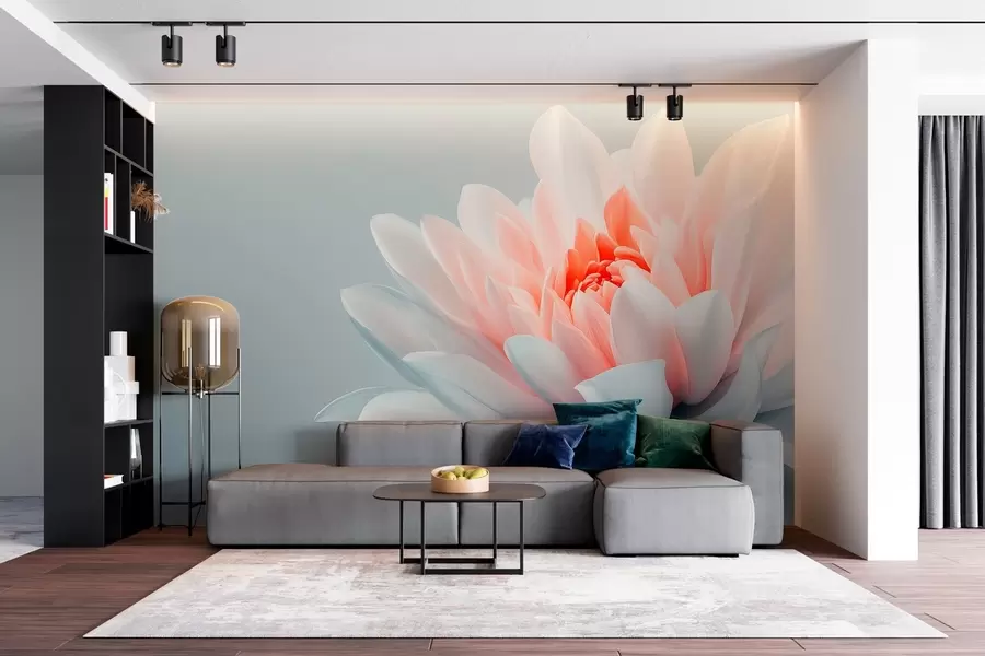 fototapet Floare mare pe un fundal gri  w02906