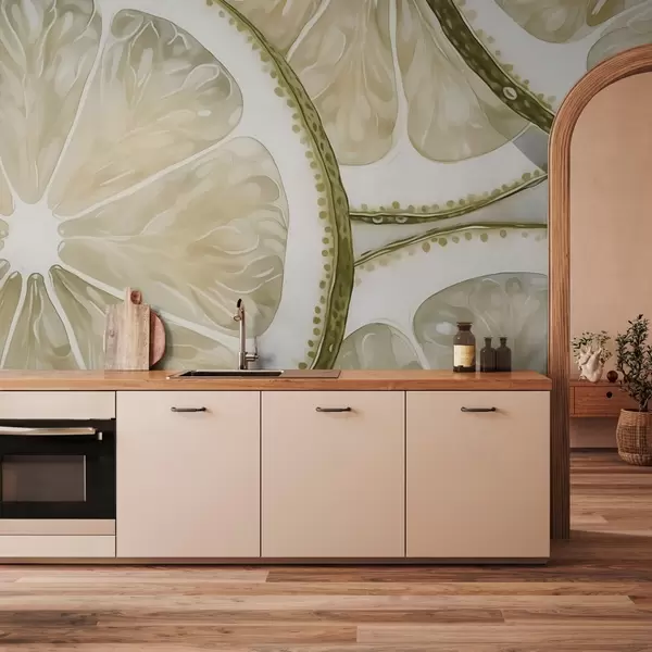 Cele mai recente creații