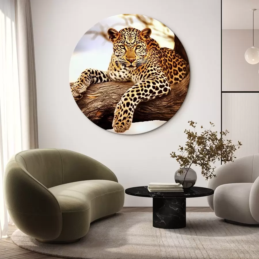 Tablouri Leopard pe un copac r42984