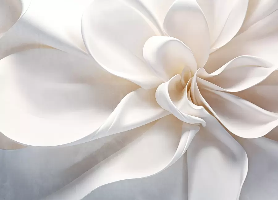 fototapet O floare alb pastel texturat minimalist cu petale moi, lumina si aerisit, pe un fundal alb w08868