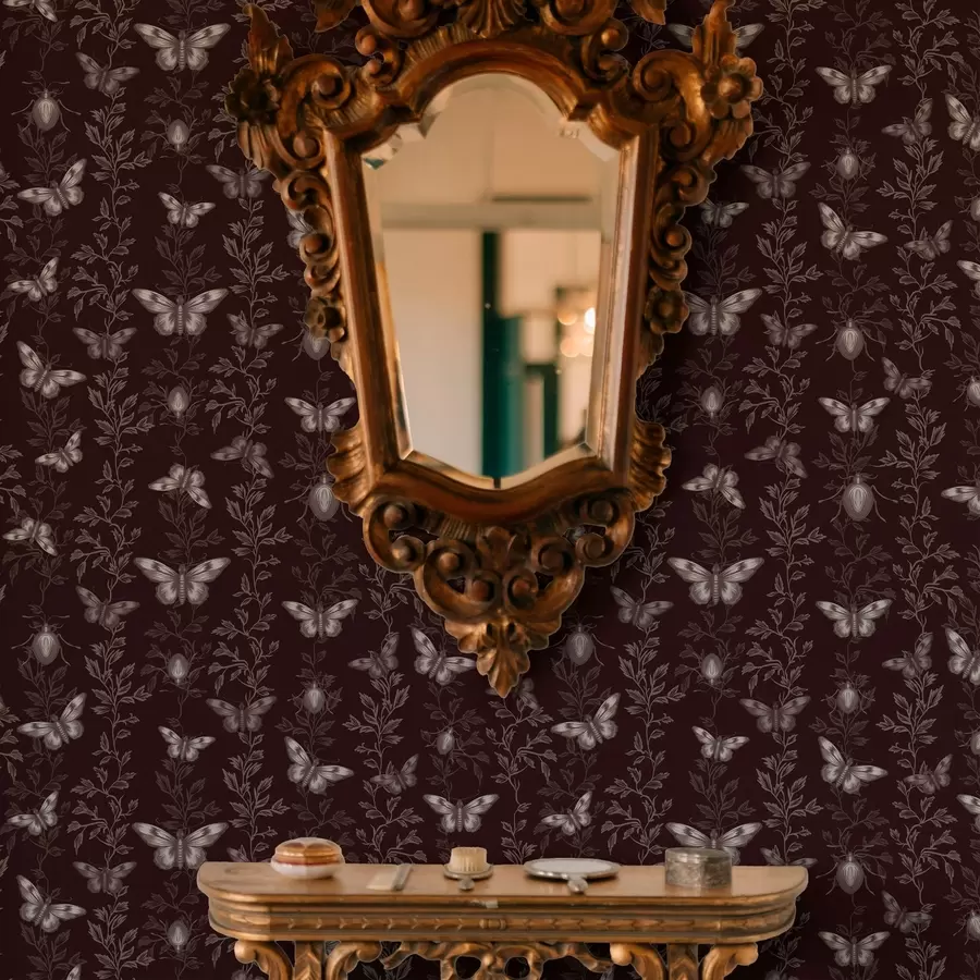 fototapet Compoziție cu fluturi, frunze și insecte pe fundal întunecat a00073v1