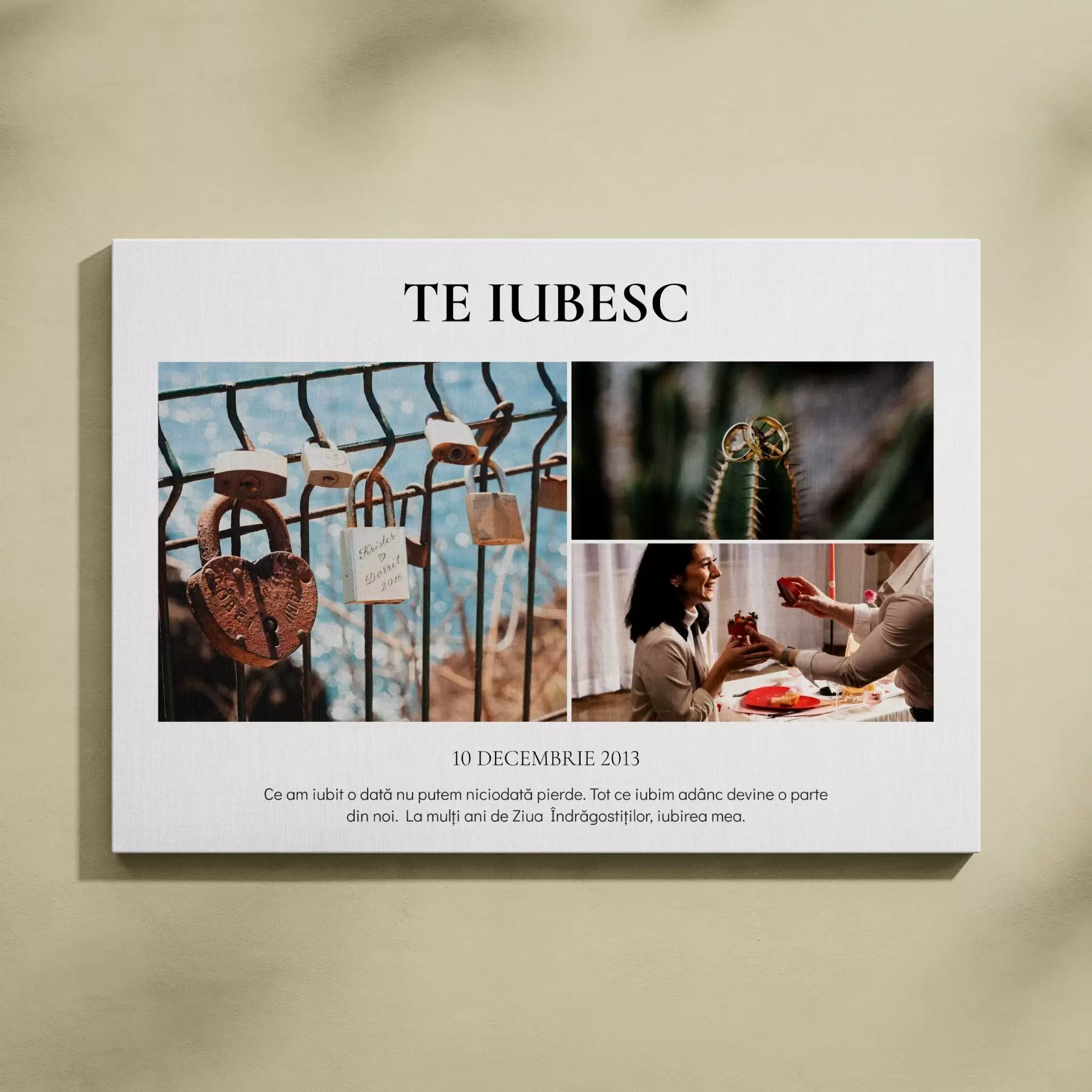 Tablouri Cumpărați un collage pe pânză s43639