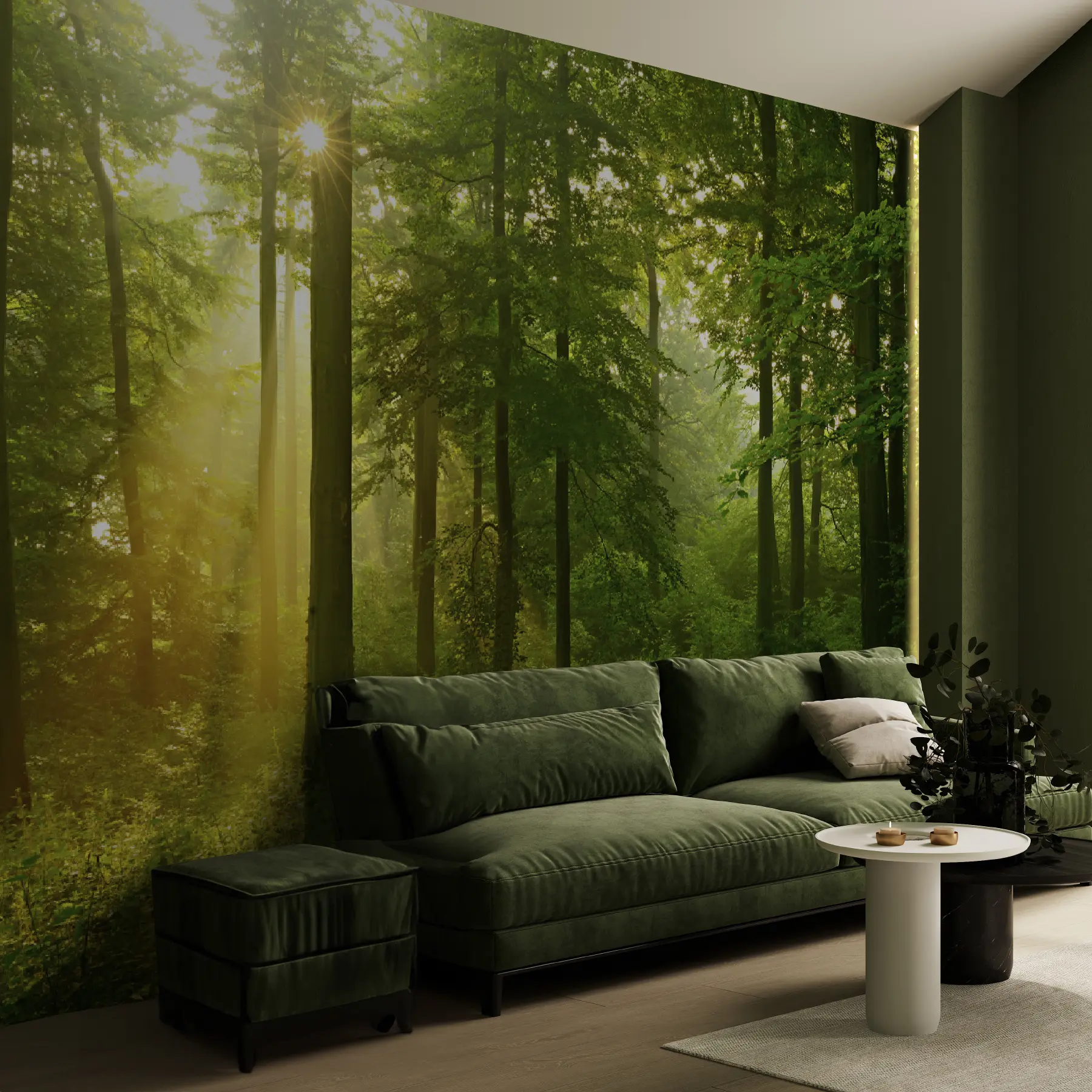 fototapet Liniște în pădurea însorită u57295