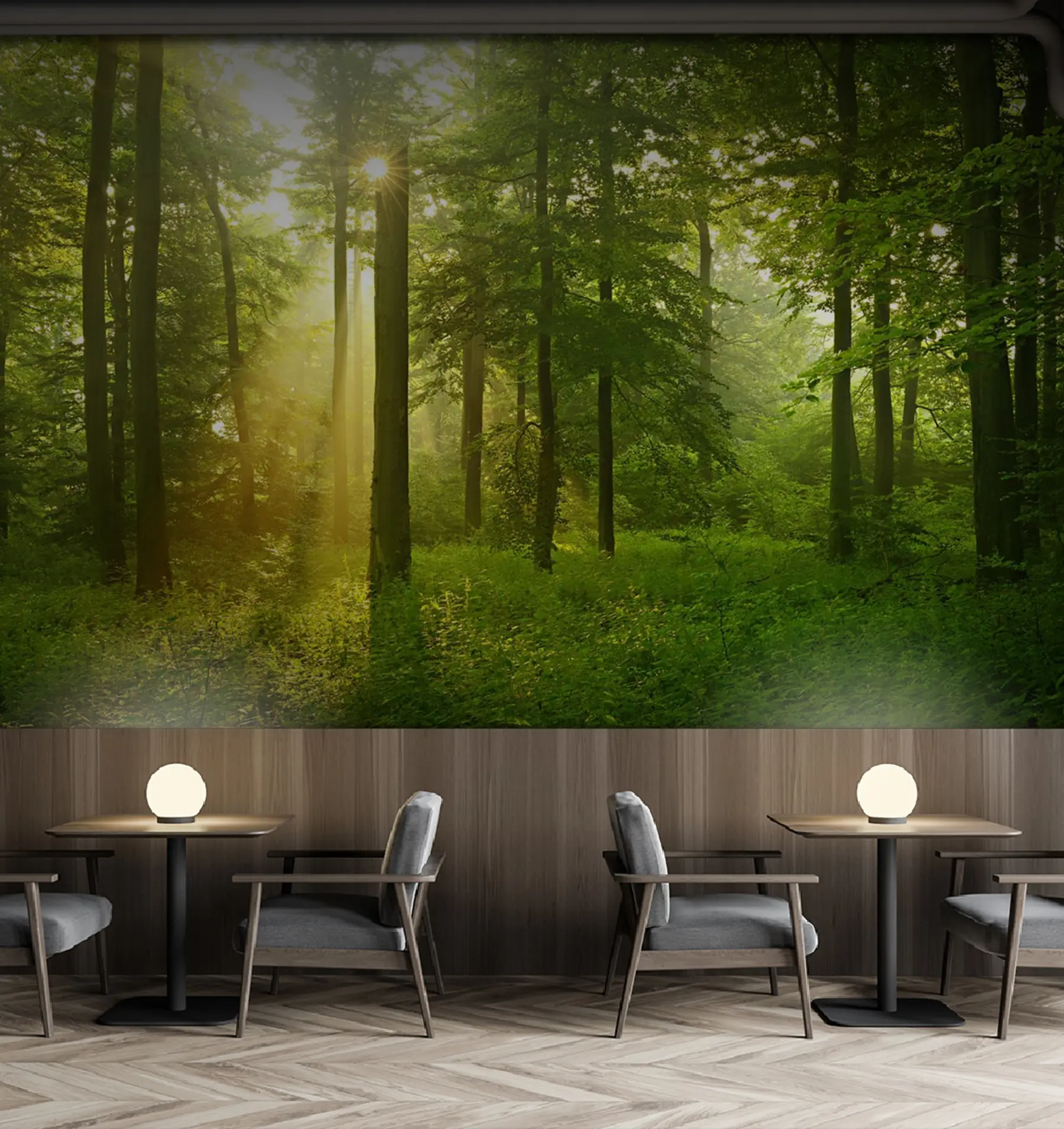 fototapet Liniște în pădurea însorită u57295