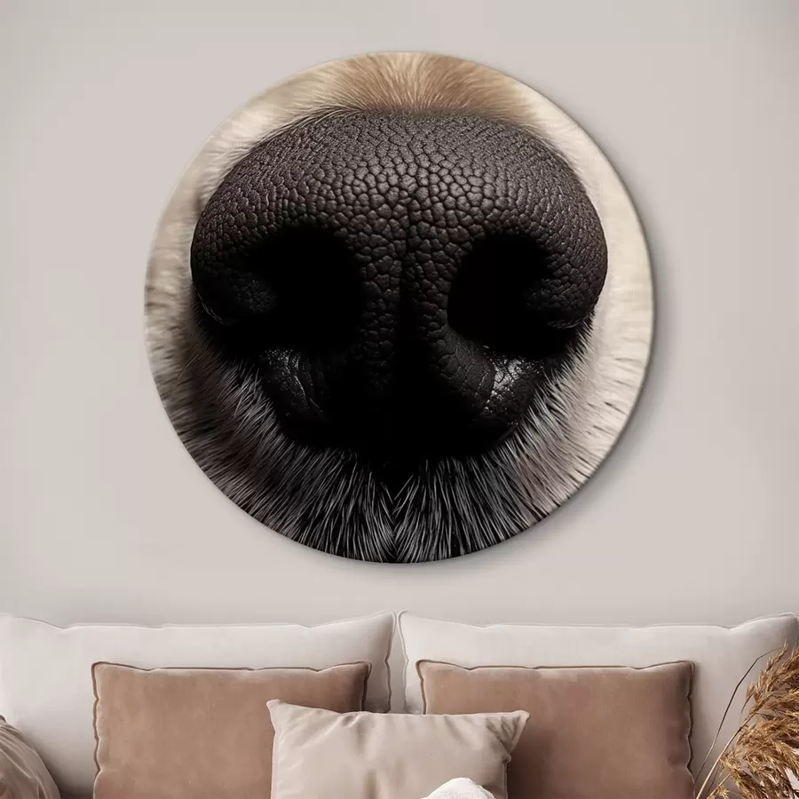 Tablouri Nas de câine r44273