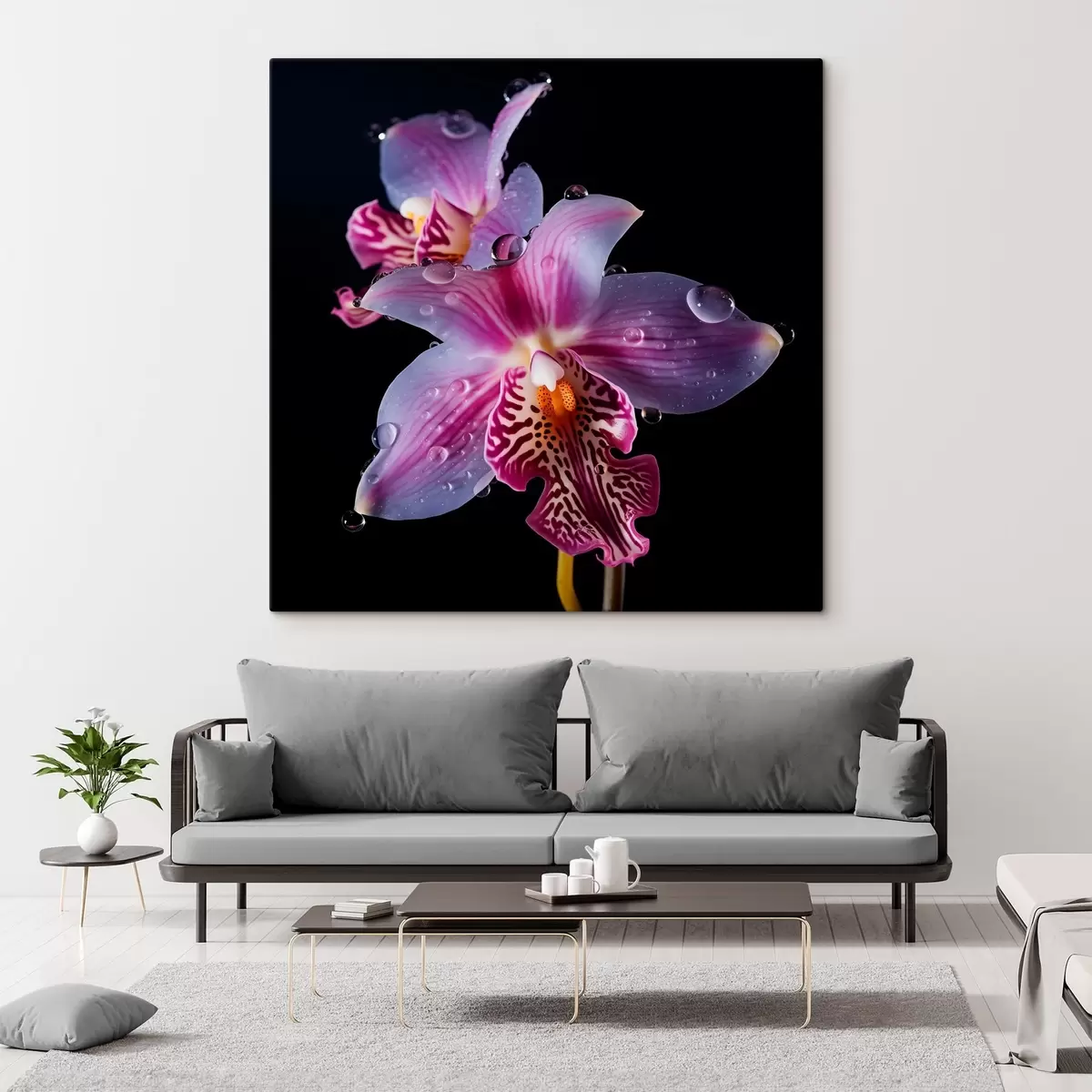 Tablouri Picături de apă pe petale de orhidee s44356