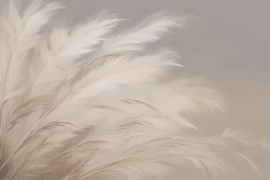 fototapet Ierburi pufoase moi în bej și gri w03992