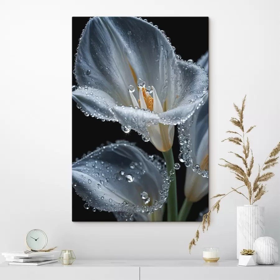 Tablouri Floare transparentă pe fundal negru s44479