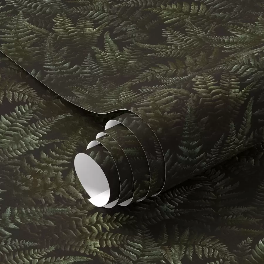 fototapet Ferigă întunecată, ornament de pădure, culori de noapte a00214
