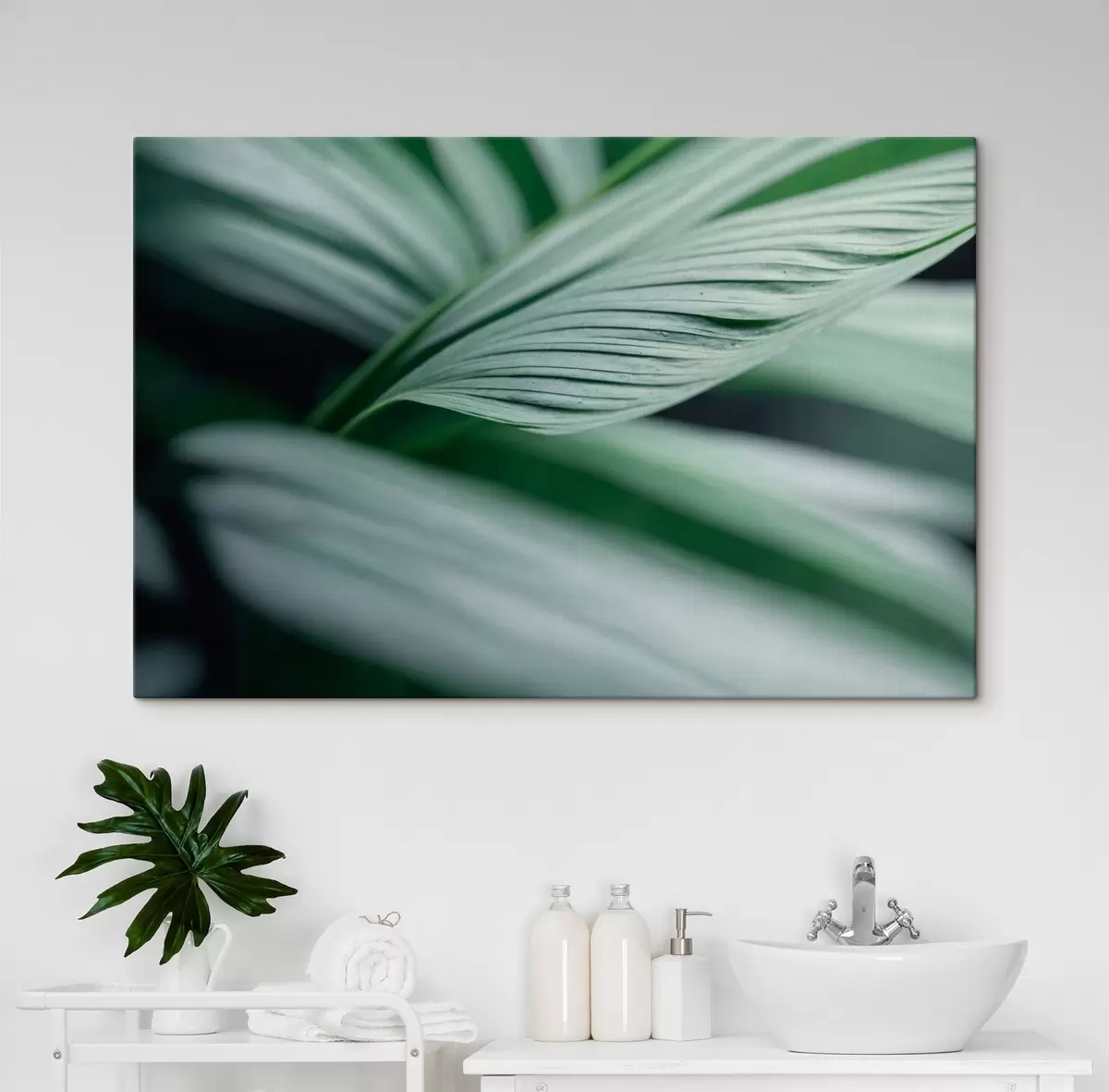 Tablouri Frunze tropicale cu picături de apă în mediu cețos s44903