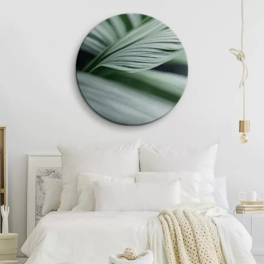 Tablouri Frunze tropicale cu picături de apă în mediu cețos r44903