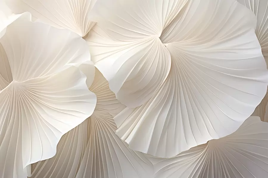 fototapet petale, flori, alb, crem, textură, tandrețe, decorativ w04216