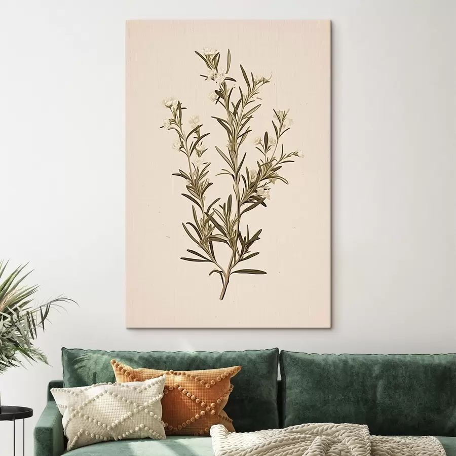 Tablouri botanică, ramură, fundal bej, iarbă, minimal, plantă, frunze verzi, tulpină s45098