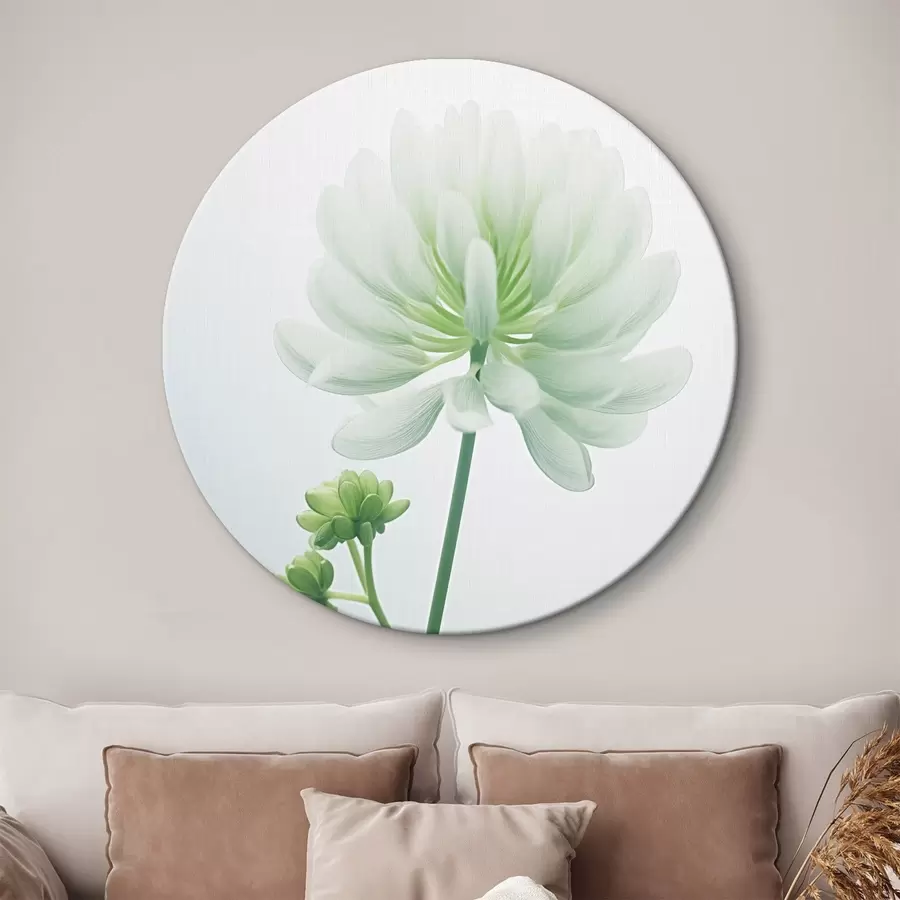 Tablouri Floare albă de trifoi cu tulpină și frunze verzi, iluminare moale, fundal curat, compoziție minimalistă, botanică r45171