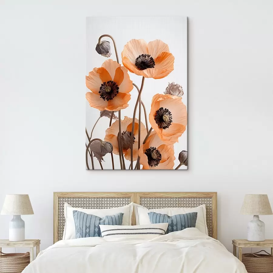 Tablouri Mac portocaliu, flori uscate pe un fundal deschis, iluminare moale, petale delicate, aranjament floral s45167