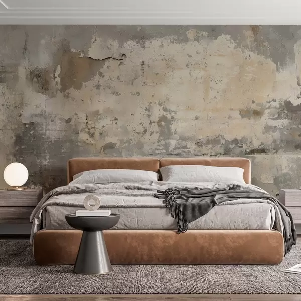 Cele mai recente creații