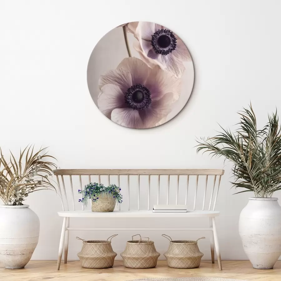 Tablouri Anemone delicate cu centre întunecate, pastelate r45875