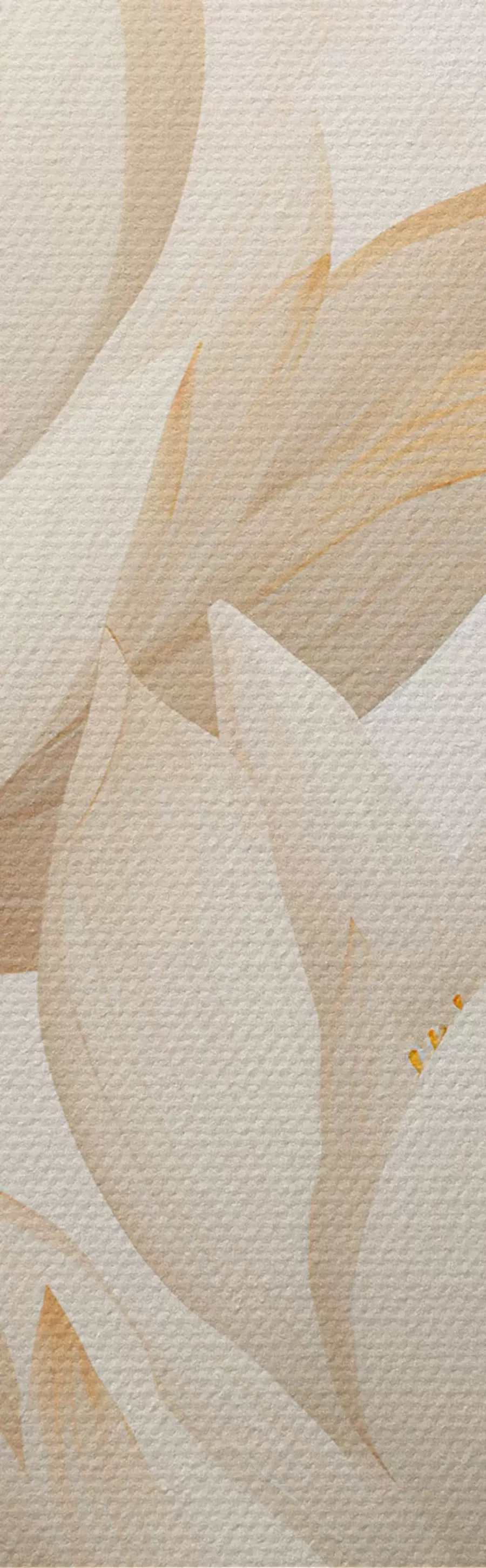 Tablouri Frumoase flori de lotus m00861