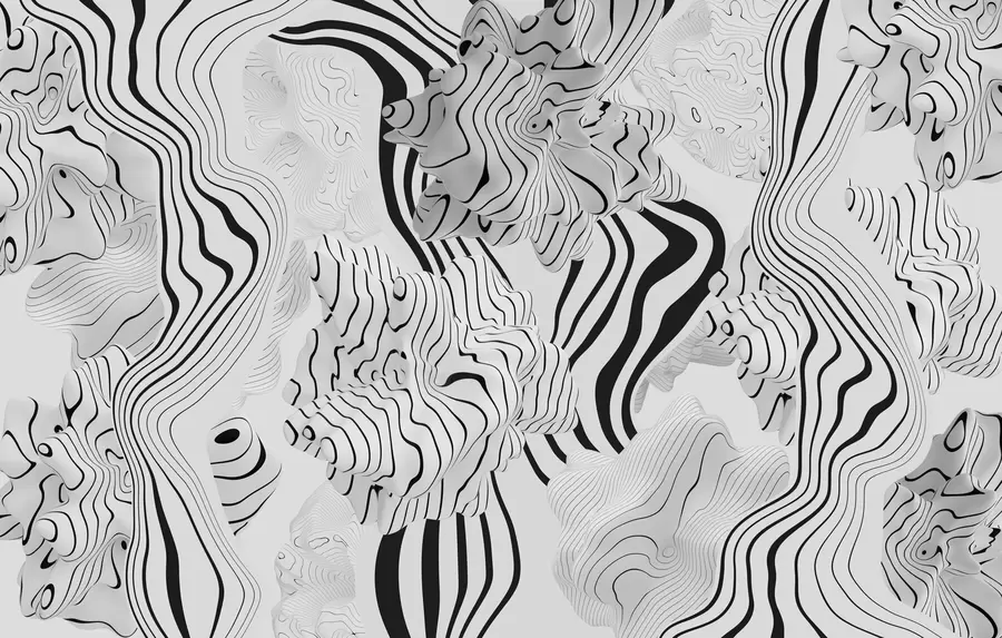 fototapet forme organice abstracte în stil 3D în tonuri de alb și gri cu dungi negre w04627