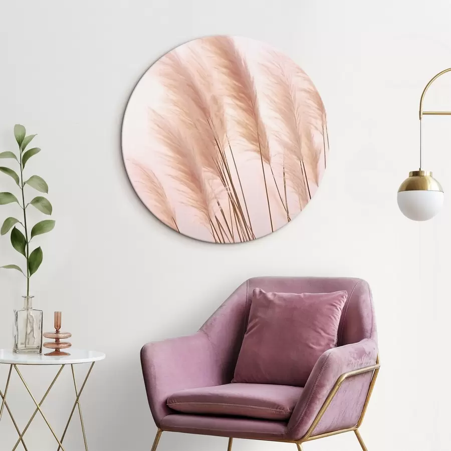 Tablouri Ierburi ușoare cu vârfuri pufoase pe un fundal pal r46179