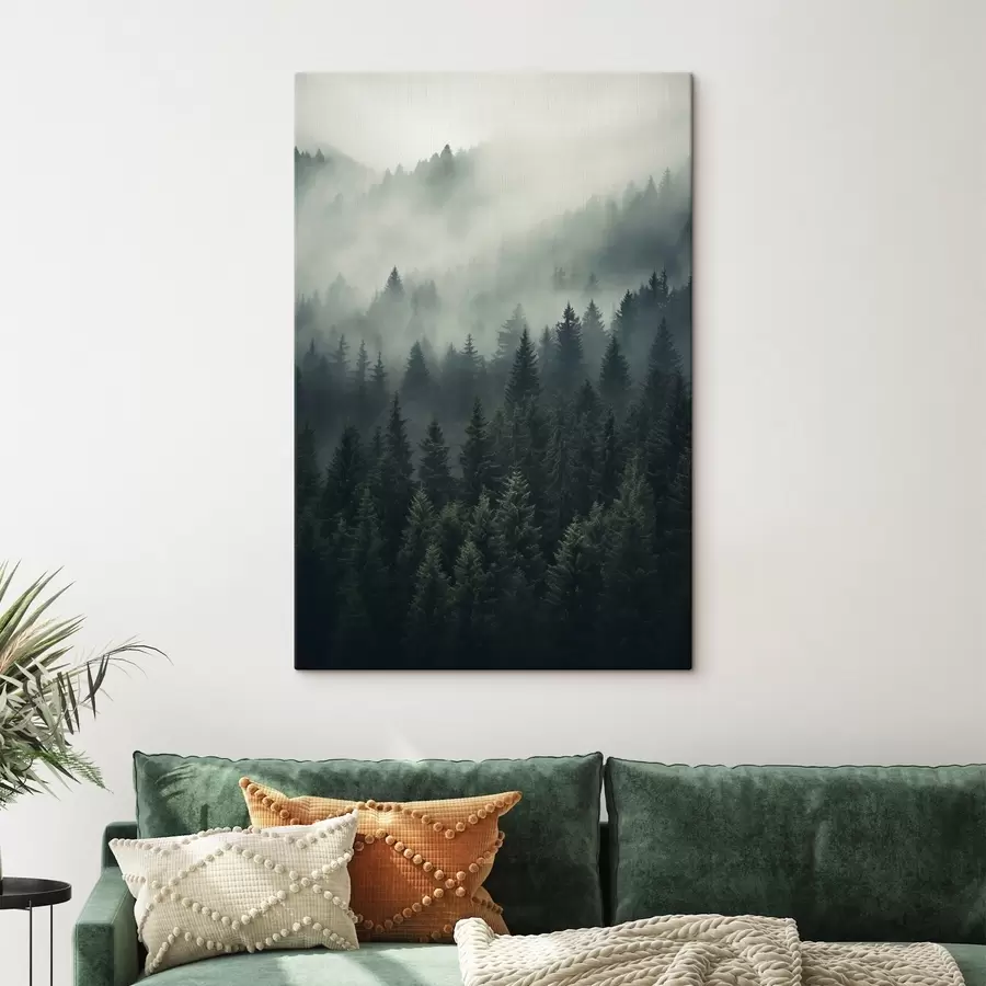 Tablouri Ceață care se rostogolește peste pădurea densă de conifere s46512
