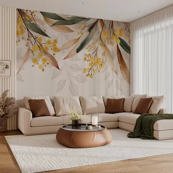 Cele mai recente creații