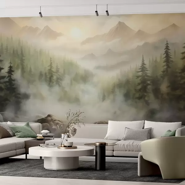 Cele mai recente creații