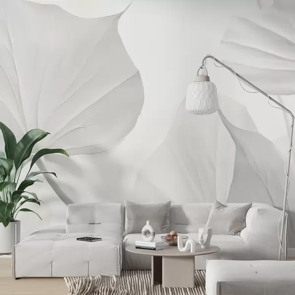 Cele mai recente creații