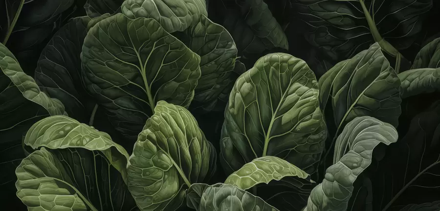 fototapet Frunze verzi jucăușe w05043