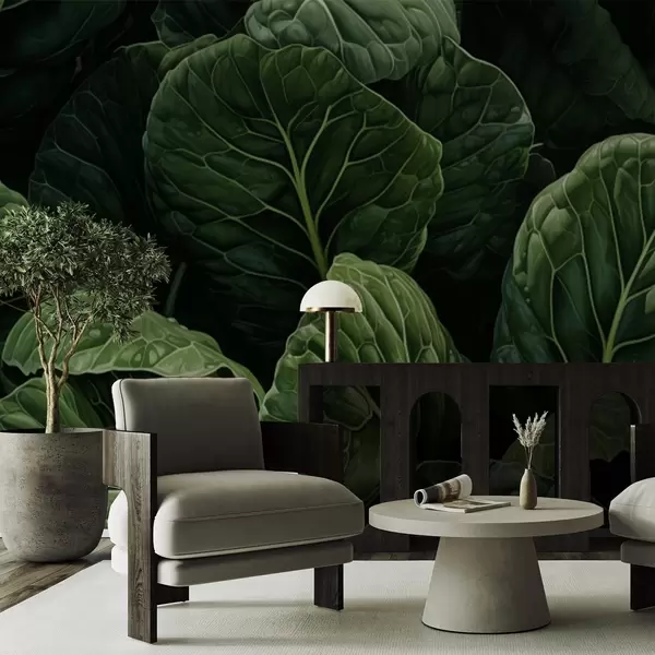 Cele mai recente creații