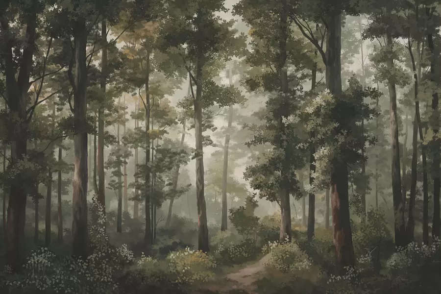 fototapet Ilustrație cu pădure cu ceață, copaci înalți și o potecă w05089
